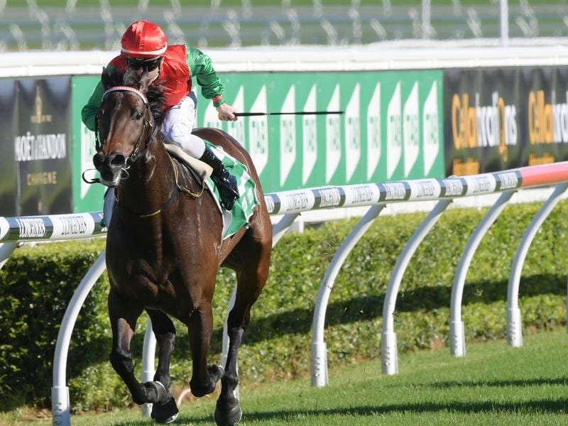 Zonk Gives Williams First Saturday Winner