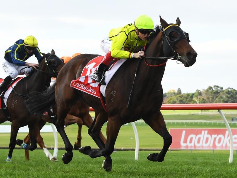 Connery Shows His Class In Sandown Victory