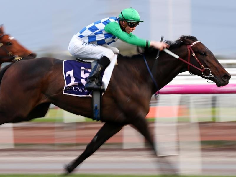 Furrion Gets Job Done In Warrnambool Cup