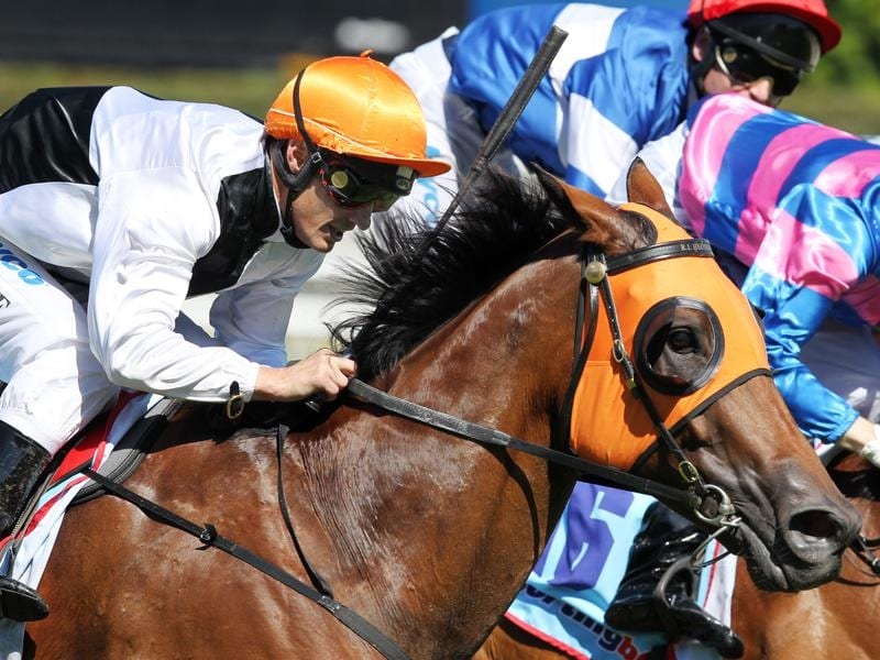 Breeding Tells In Upset Eagle Farm Win
