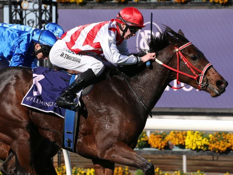 St Edward’S Crown Too Strong At Flemington