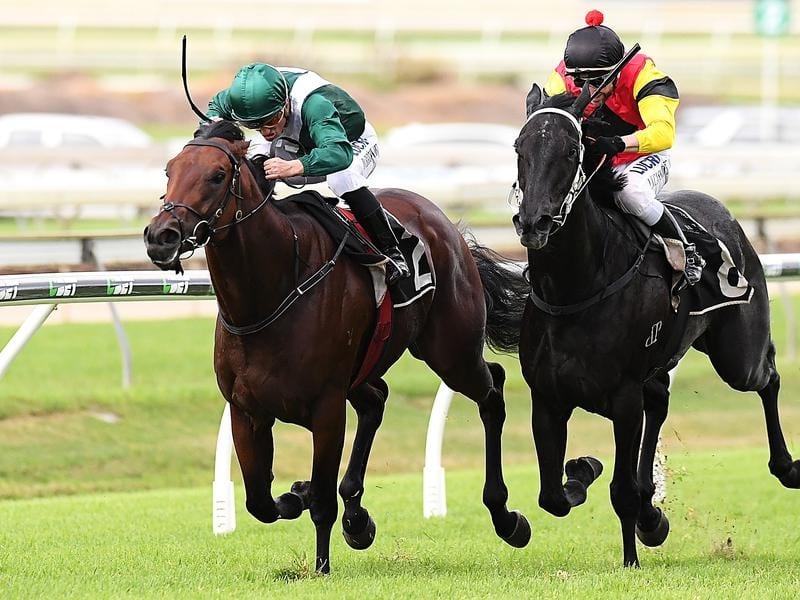 Villermont To Press Winter Champs Claims