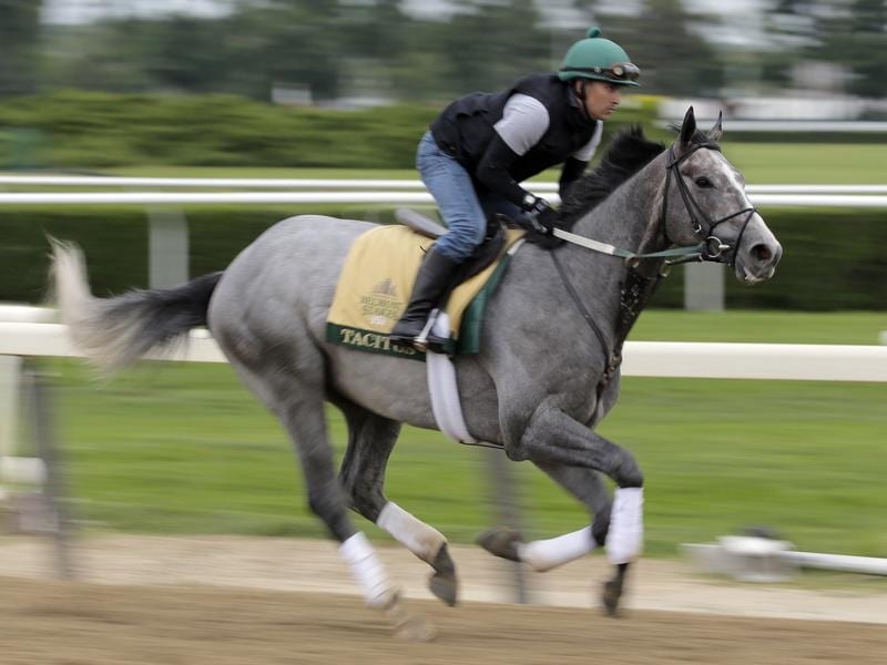 Tacitus Favourite For Belmont Stakes