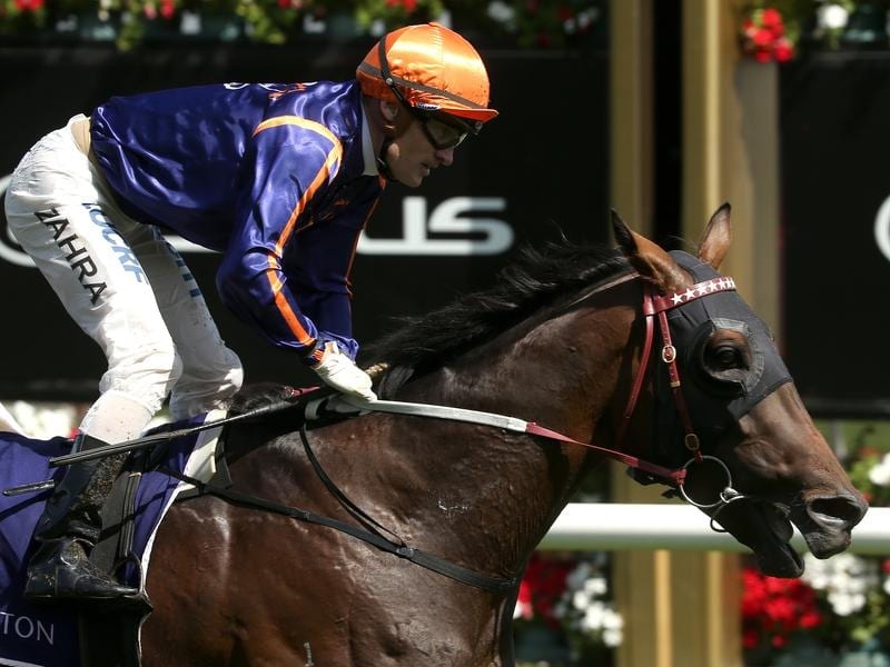 Declares War Set For Qld Derby Challenge
