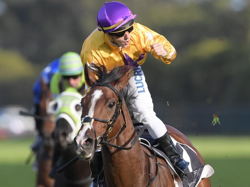 Hush Writer Makes A Big Noise At Rosehill