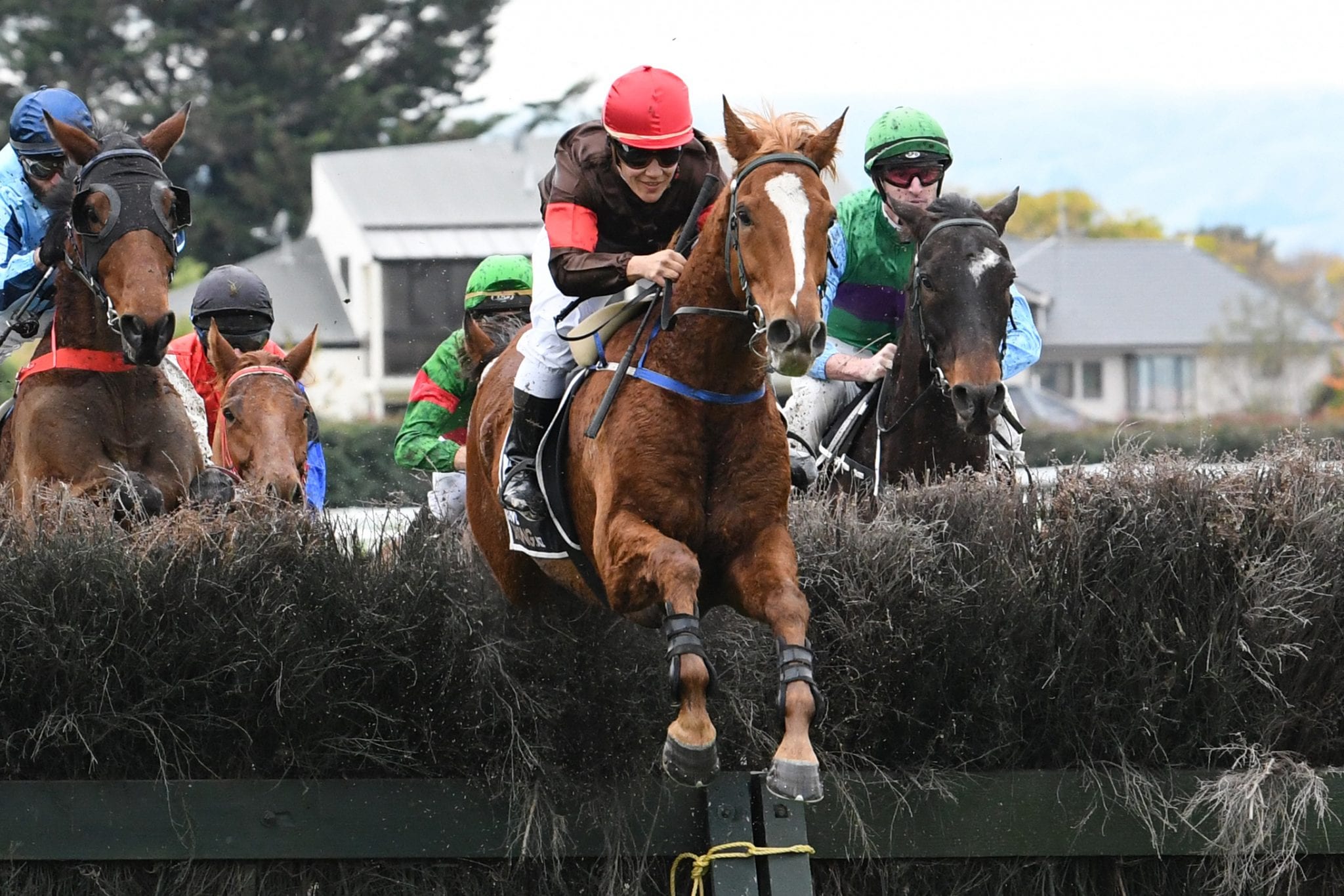 Famous Browne colours again to fore