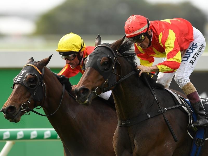 Costa Eyes Stakes Move For Gold Ambition