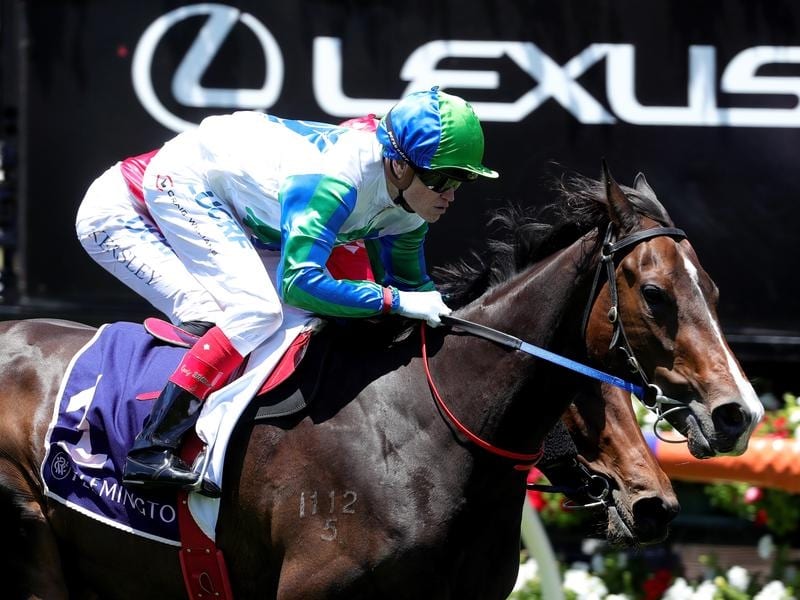 My Pendant Ready For Flemington Return