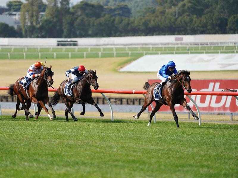 Chenier Ruled Out Of Spring Carnival
