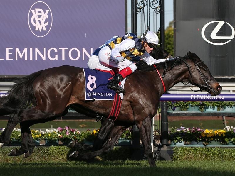 Cumani Thinks Future Is Bright For Stayer
