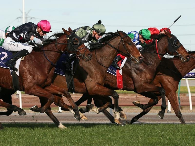Melham Building Towards Spring Carnival