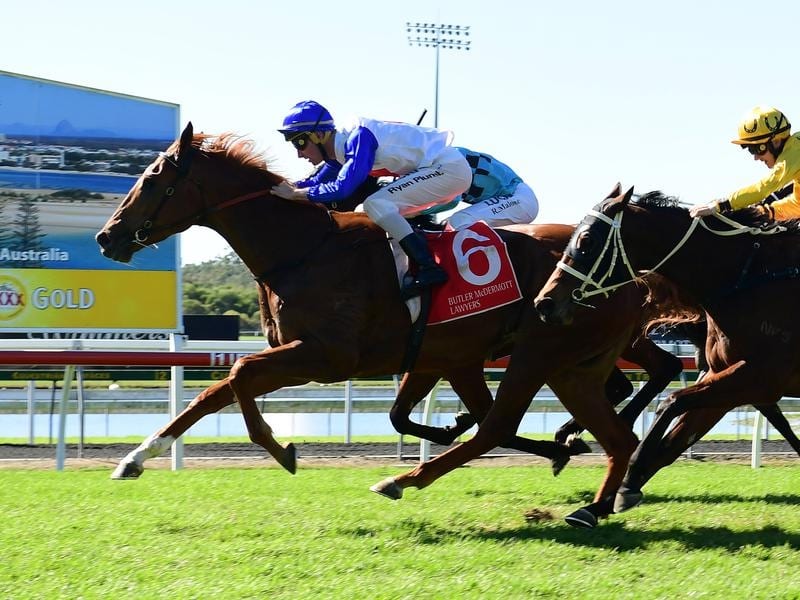 Gallops_Tabcorp_4-3_16773016_1957378_20190724110744c2662561-e4ed-4a86-8fbc-3728378ff8ac.jpg_sd_800x600.jpg