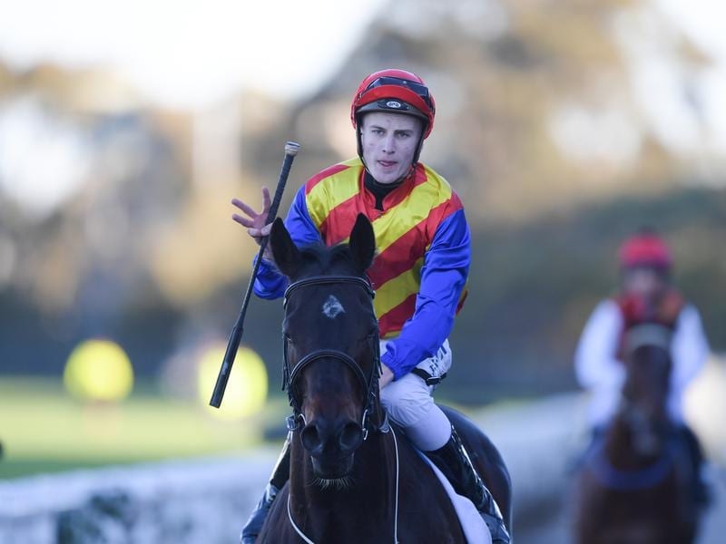 Gallops_Weatherley_4-3_16764711_1957088_201907230807845e4d29e-a5f3-4f87-ab08-b663a18a10b6.jpg_sd_800x600.jpg