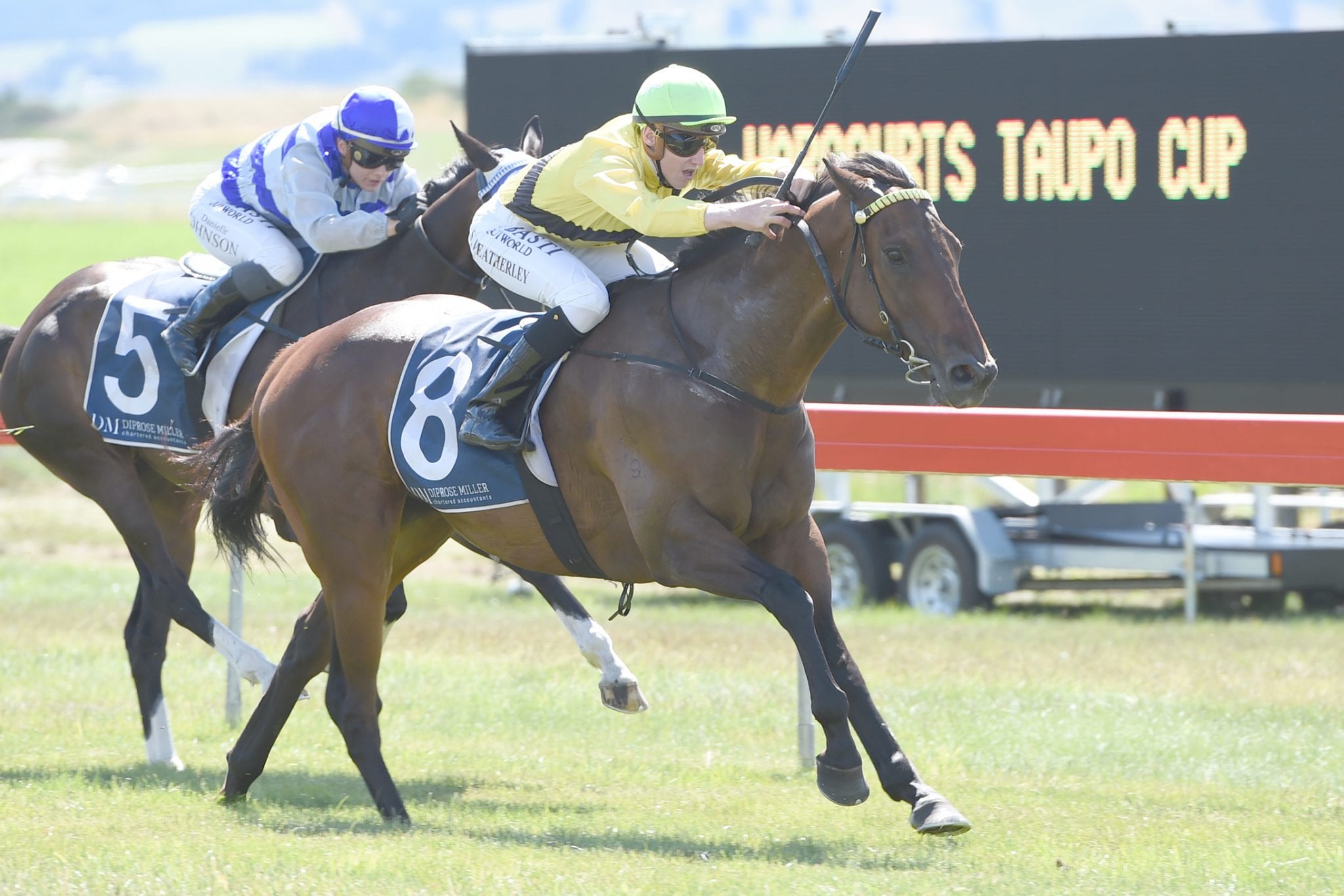 Star filly back in work as Hillis takes one runner to Ruakaka