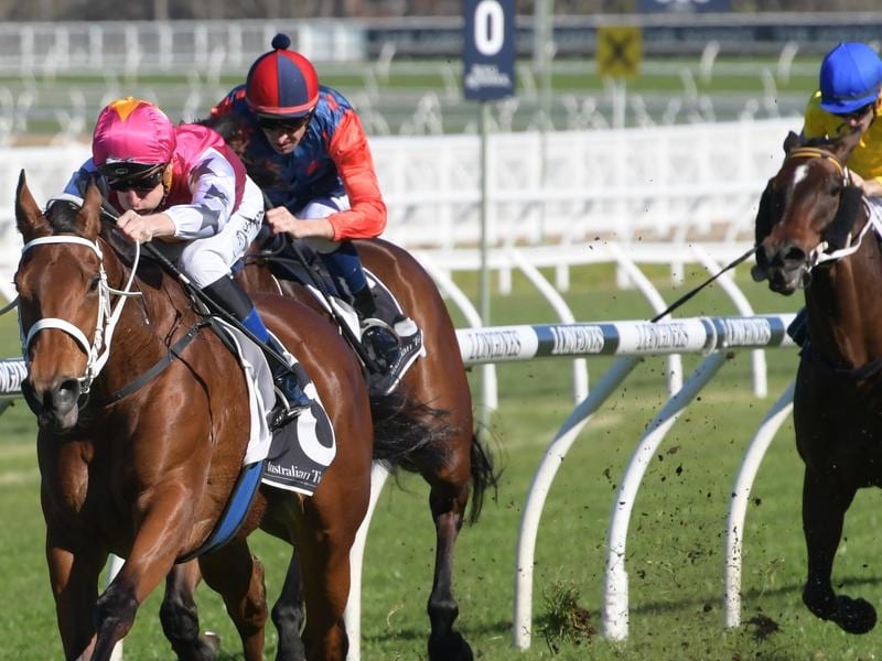 Spring Stardom Beckons For Haut Brion Her