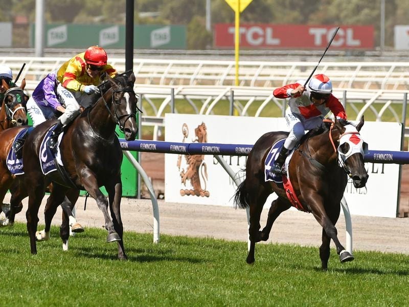 Mystic Journey Wins Trial At Devonport | Racing Online