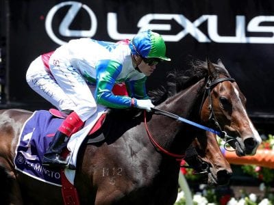 My Pendant Leaves It Late At Flemington