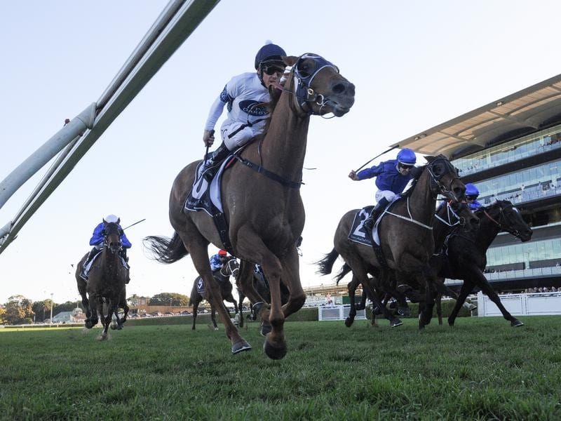 Gallops_George_Main_4-3_17149175_1968164_201909171609166c8f115e-95a8-4c35-9168-16dedcd0b96c.jpg_sd_800x600.jpg Samadoubt