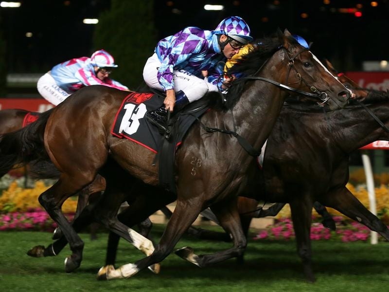 Improvement Expected From Princess Jenni
