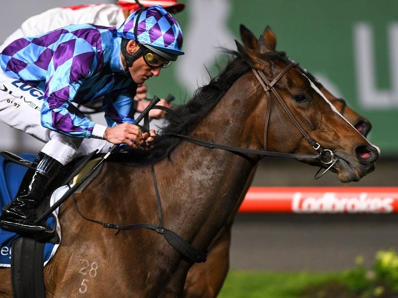 Princess Jenni Wins Group 2 Stocks Stakes