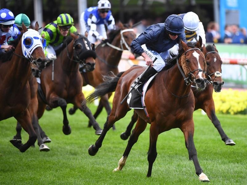 No Penalties For Melbourne Cup Hopefuls