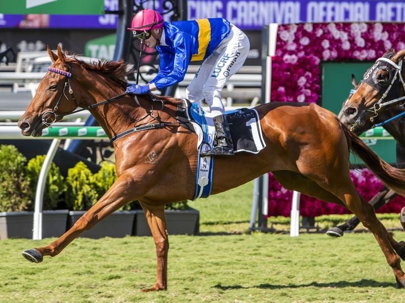Gem Of Scotland To Spell On Winning Note