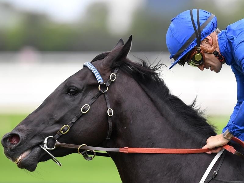 Spectroscope To Return To City Racing