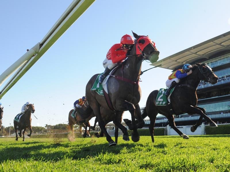 Redzel In Great Shape Ahead Of Everest
