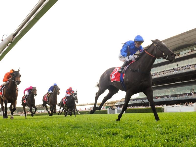 Avilius Gets Another Look At Caulfield
