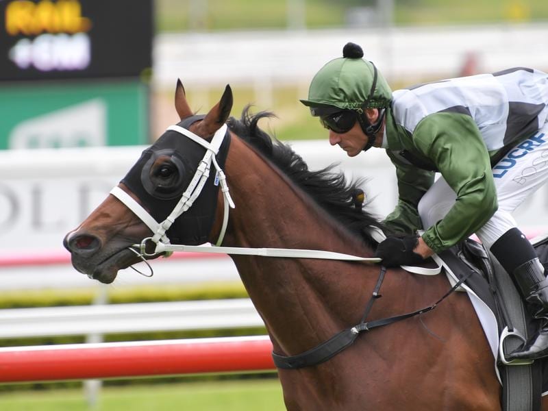 Colt Gets The Yes Vote From Glen Boss
