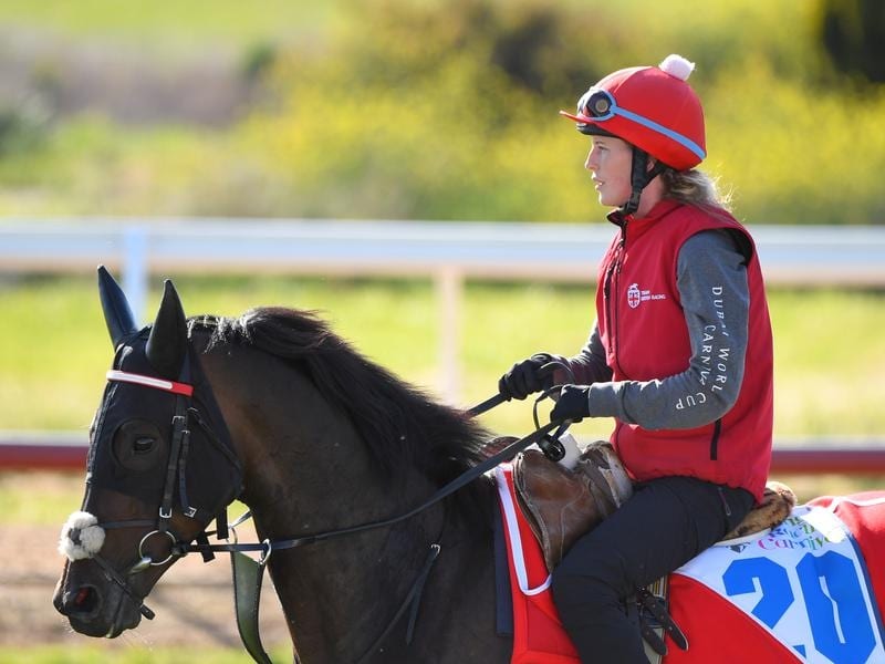 Internationals To Step Out At Caulfield