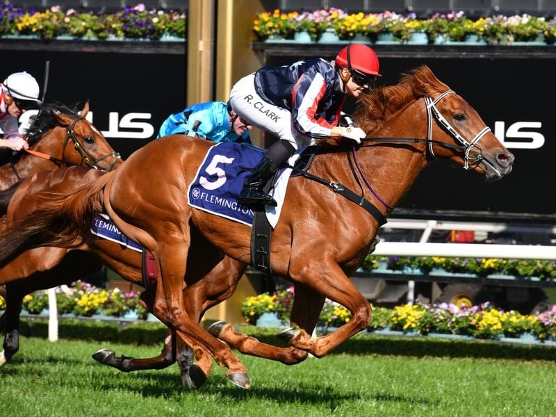 Cox Plate Has 35 Remaining In Contention