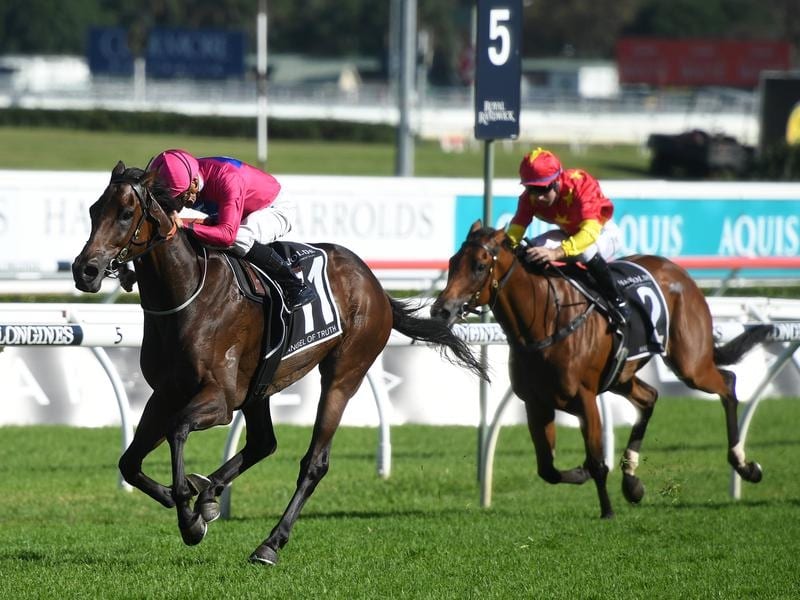 Toorak Handicap Next For Madison County