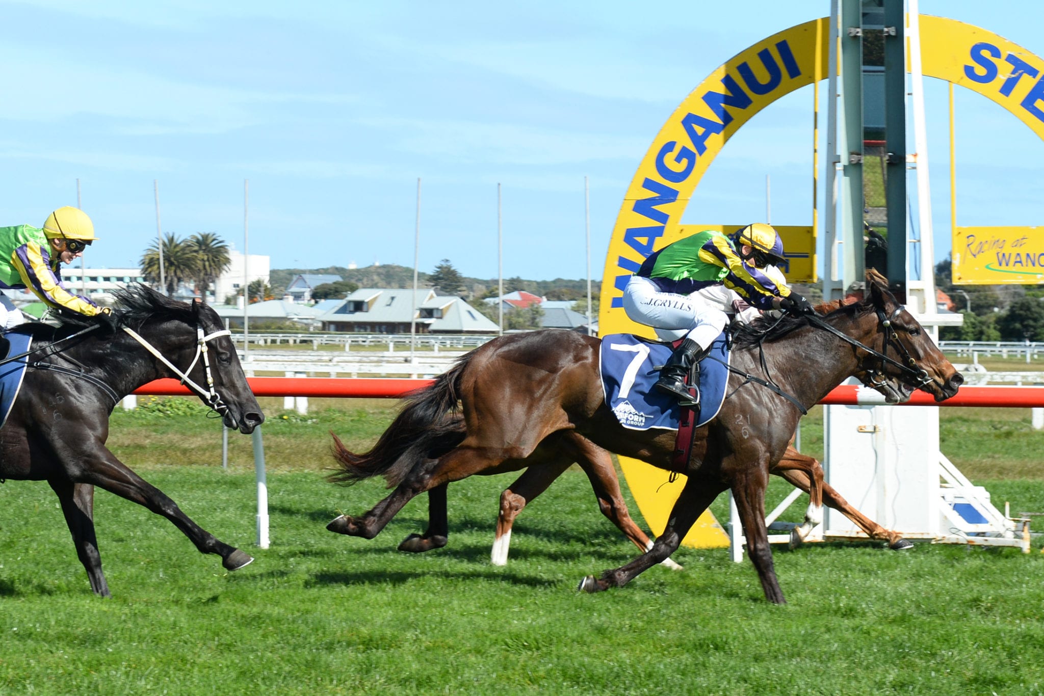 Hastings trainers seek Guineas redemption
