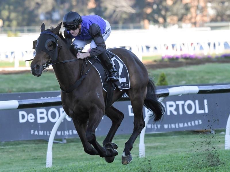Parr Picks Hero To Be Crowned Spring Champ