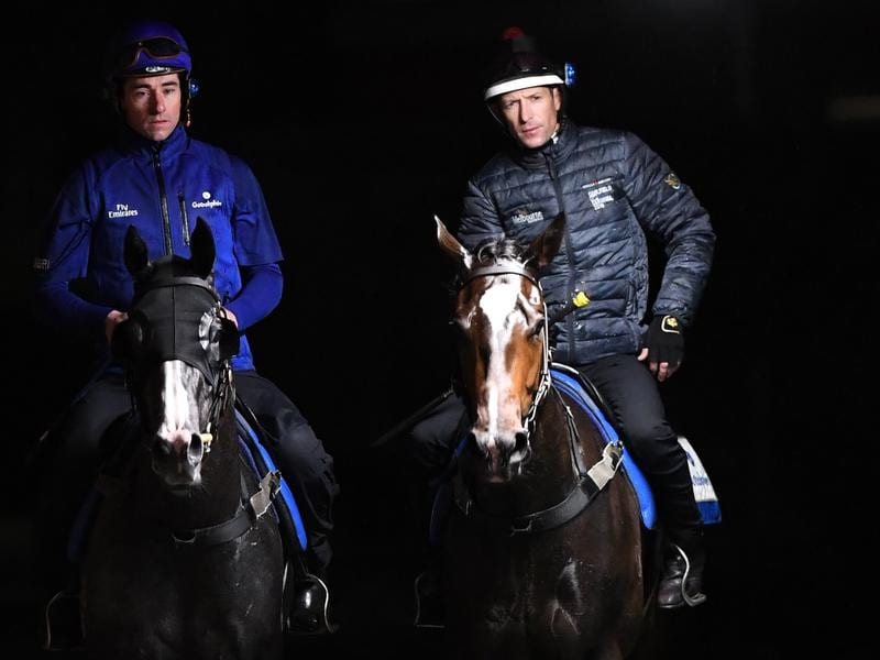 Cox Plate Option Kept Open For Filly Flit