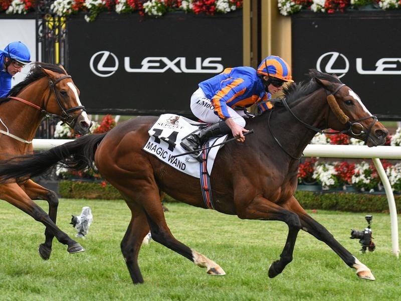 Irish Wave Magic Wand In Mackinnon Stakes