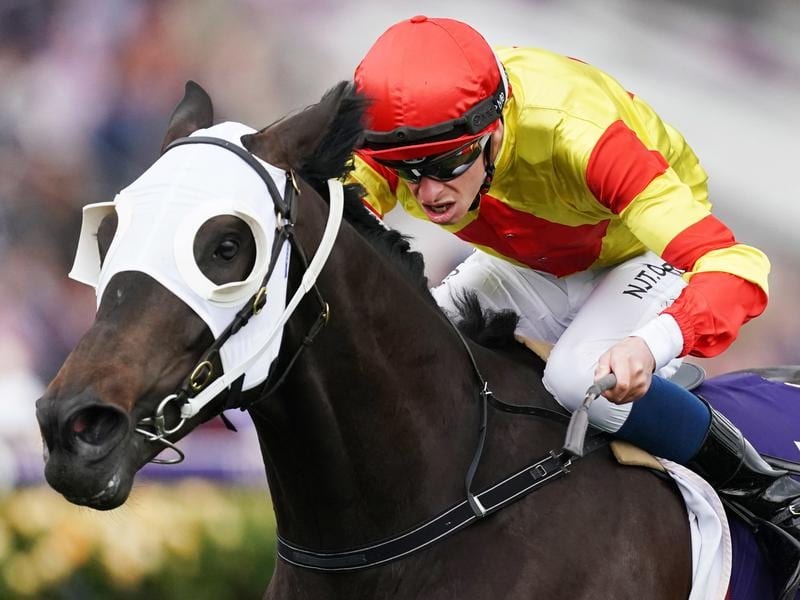Grade Drop To Aid Savaheat At The Valley