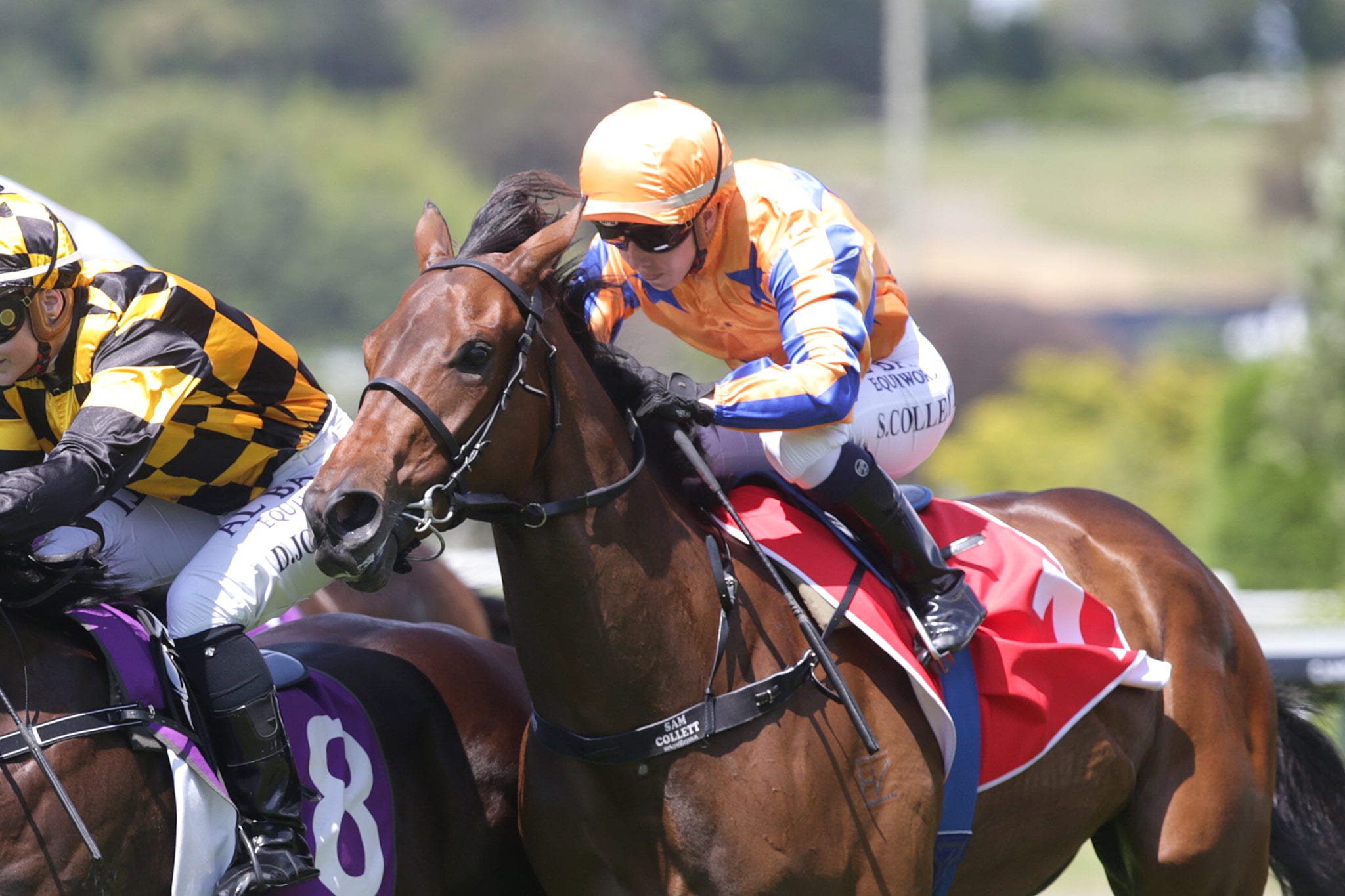 Controversial decision secures Karaka Million berth
