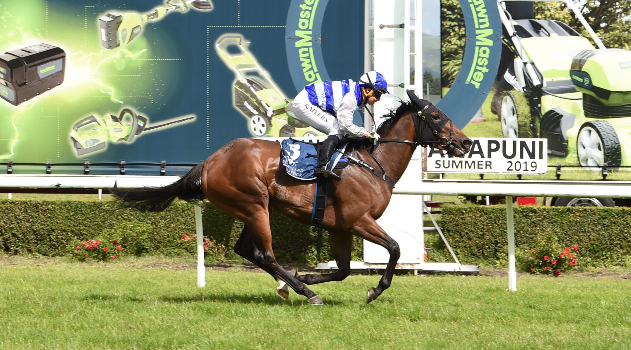 Lilikoi races away with Eulogy Stakes