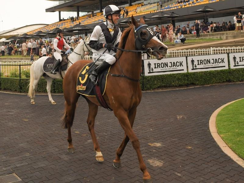 Party Surprise For Pfieffer At Rosehill