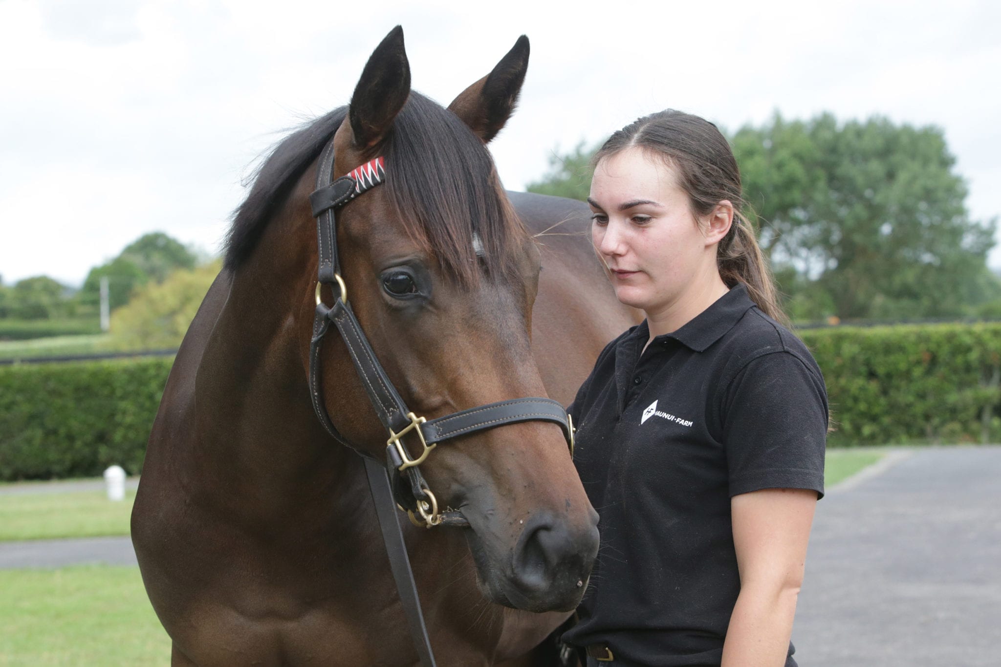 Lot 337, the Iffraaj filly out of Talaria