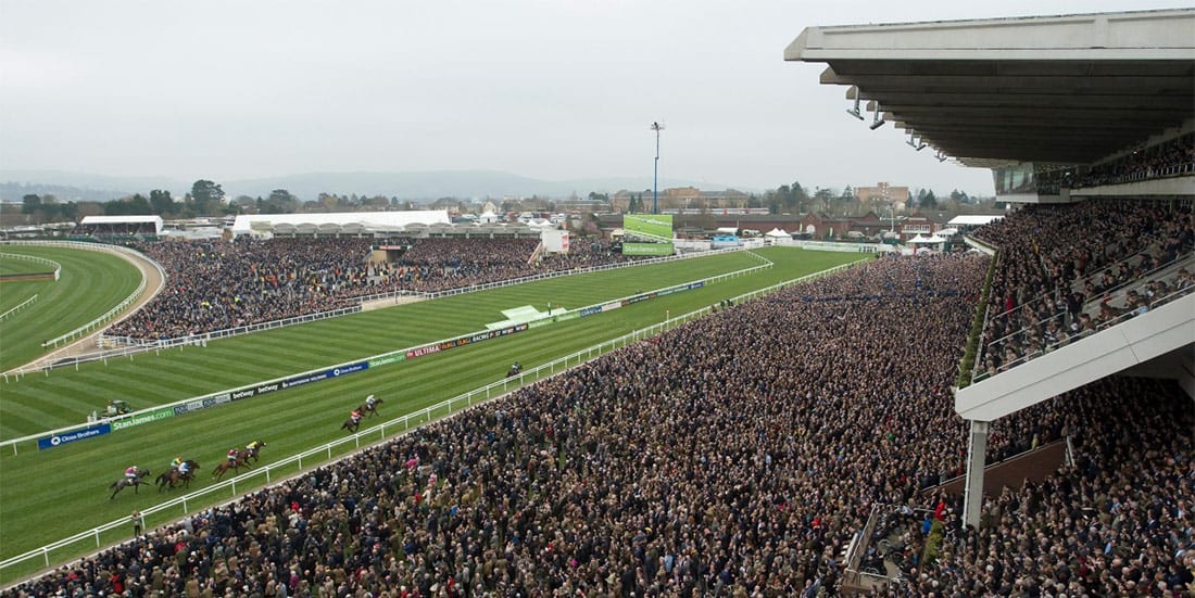 Cheltenham horse racing news