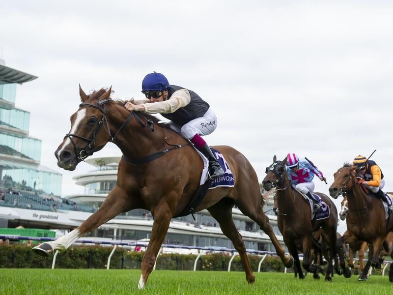 Kersley Hopes To Add To Recent City Wins