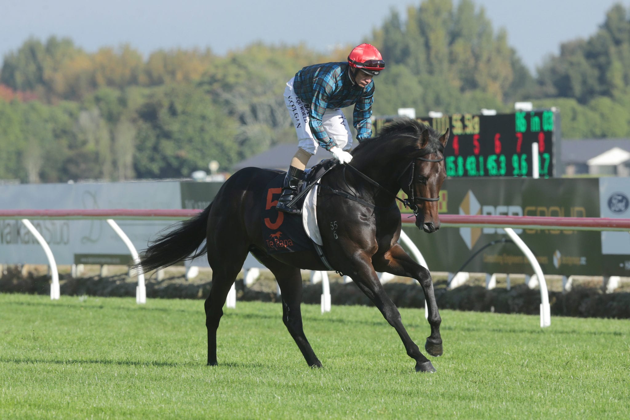 Australian campaign looms for Harlech