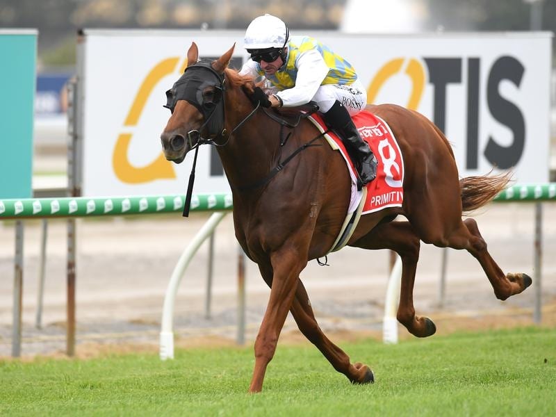 Primitivo Shows Who Is Boss At Gold Coast