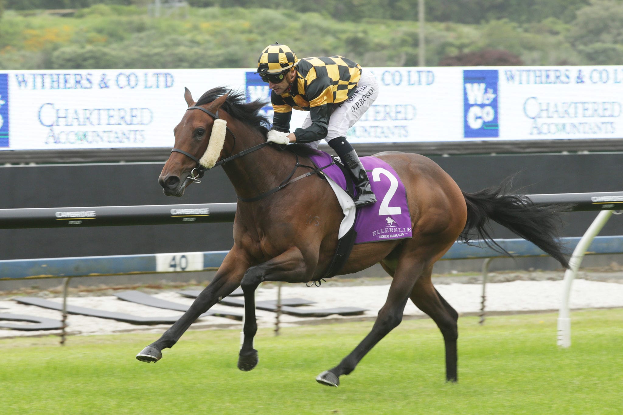 Richards pleased with confidence booster for star filly