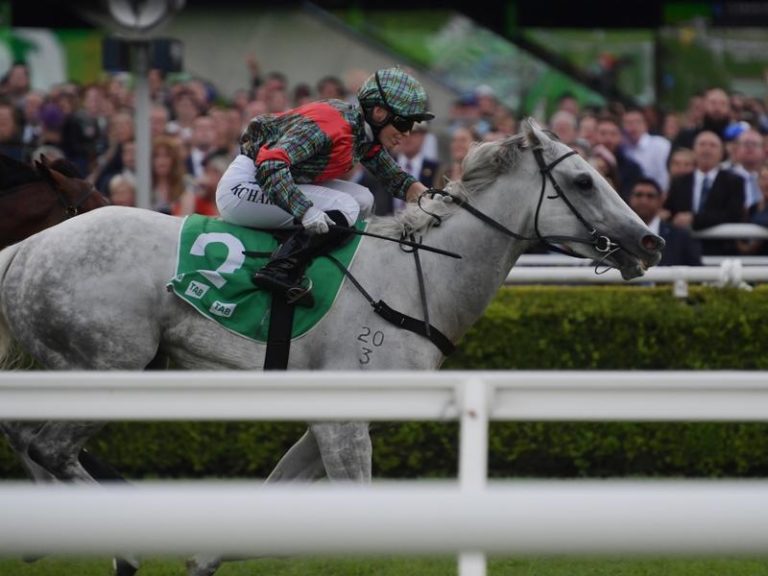 Coyle Hoping For Expressway Whitewash Racing Online