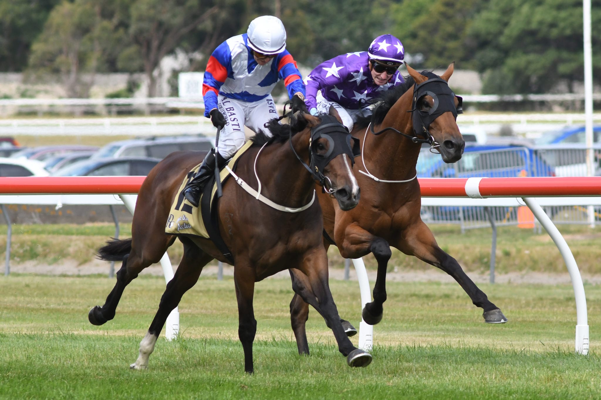 Soleseifei completes dream result in Wellington Cup