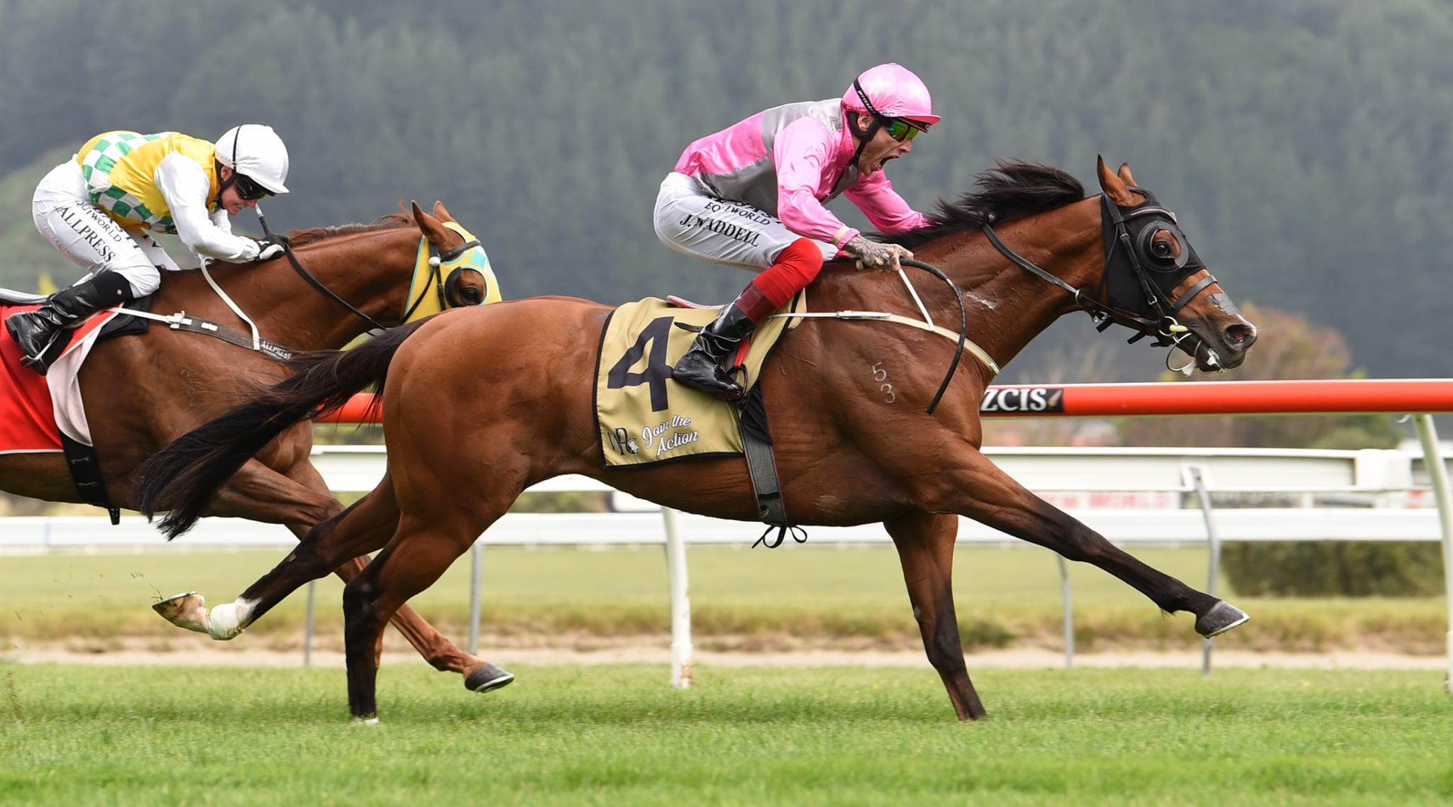 Special day ahead for in-form Waddell